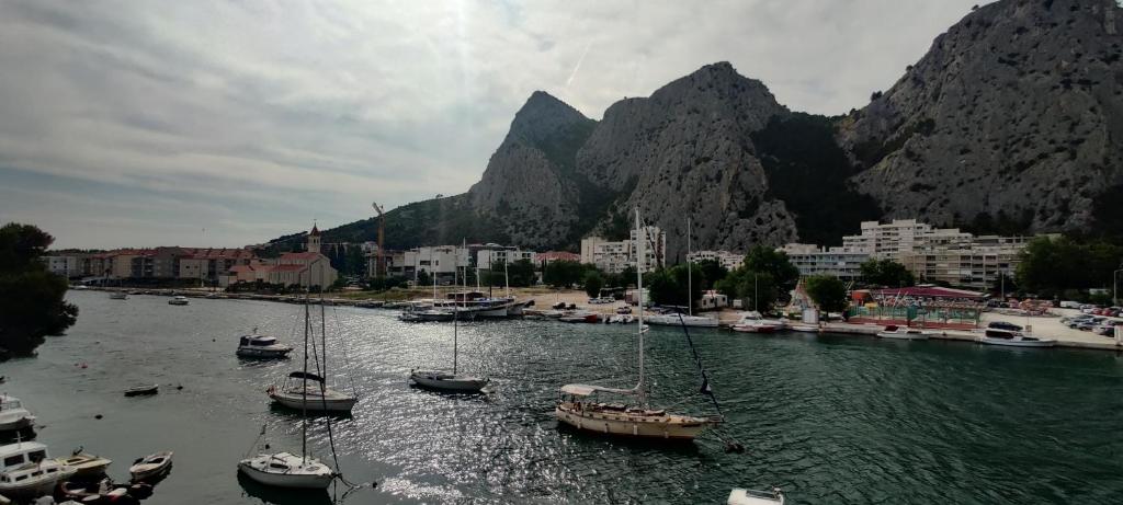 Galeriebild der Unterkunft Barakokula in Omiš