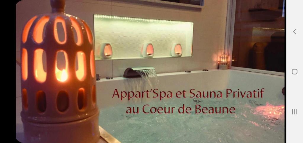 Зображення з фотогалереї помешкання Appart' Spa et Sauna Privatif Au Cœur De Beaune у Боні