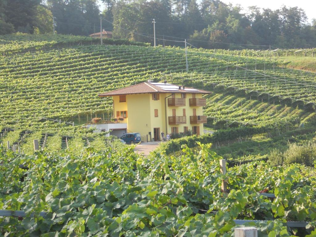 A garden outside Agritur al Vigneto