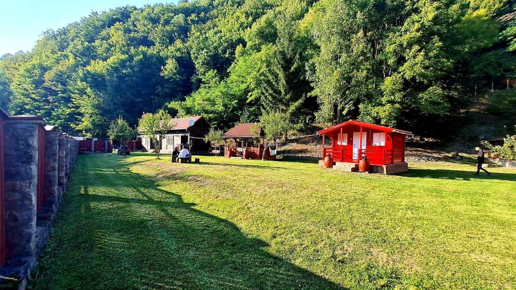 カランセベシュにあるCabana Râul Lungの遠方の小さな赤い建物の草原