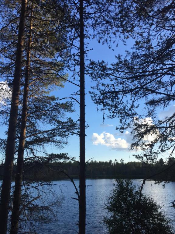 - une vue sur un lac à travers les arbres dans l'établissement Petäjälammen Turistimajat, à Kuusamo