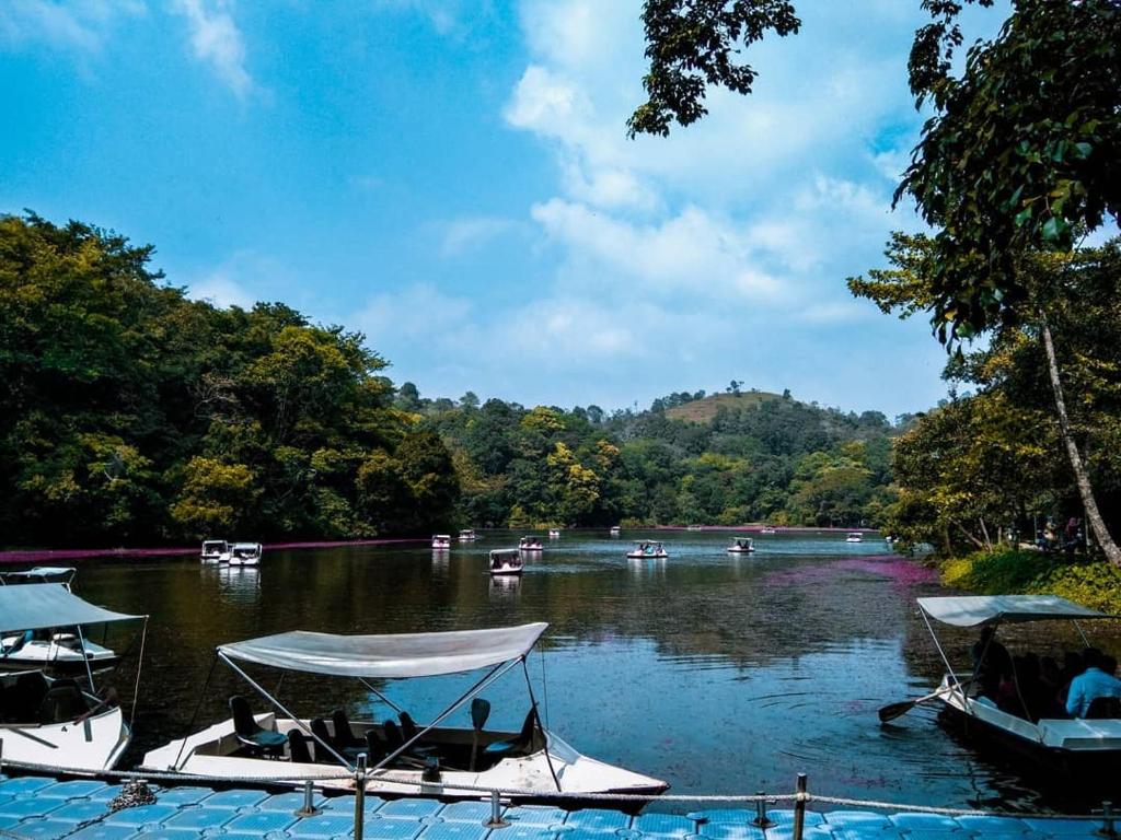 Un paisaje natural cerca de la casa de vacaciones