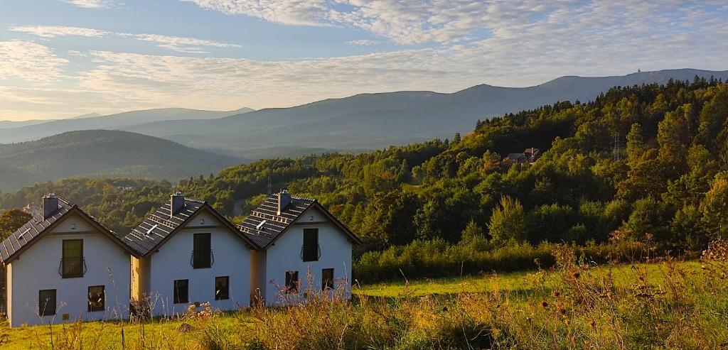 Dabas ainava kalnu kotedžas tuvumā