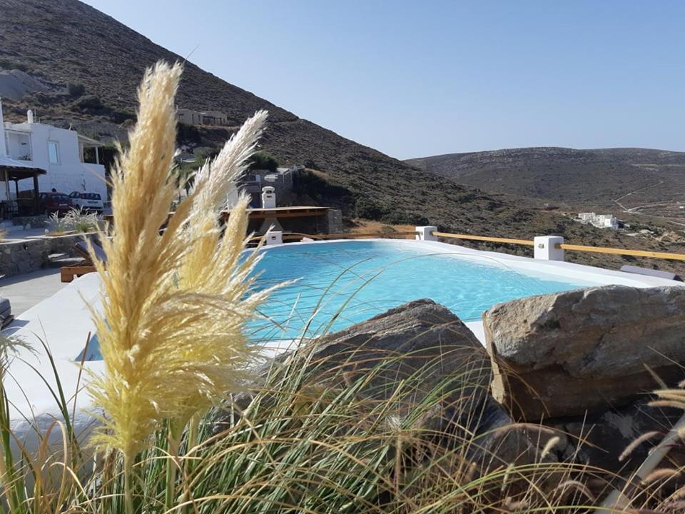 a swimming pool with some rocks and some grass at 3 Paros *All Season* Villas in Parikia