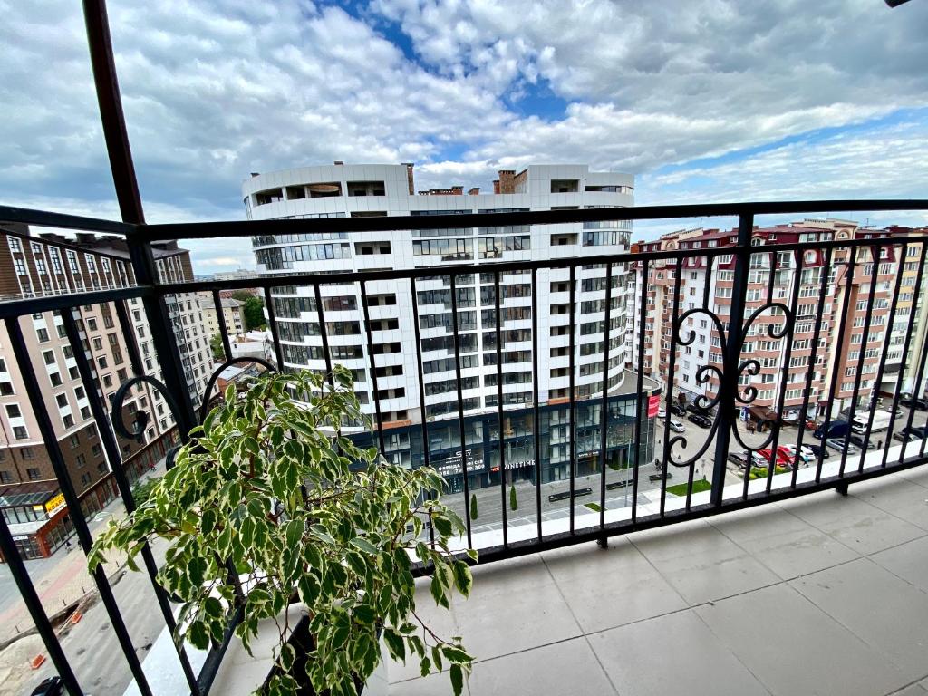 Balkon ili terasa u objektu Belvederska apartment 2