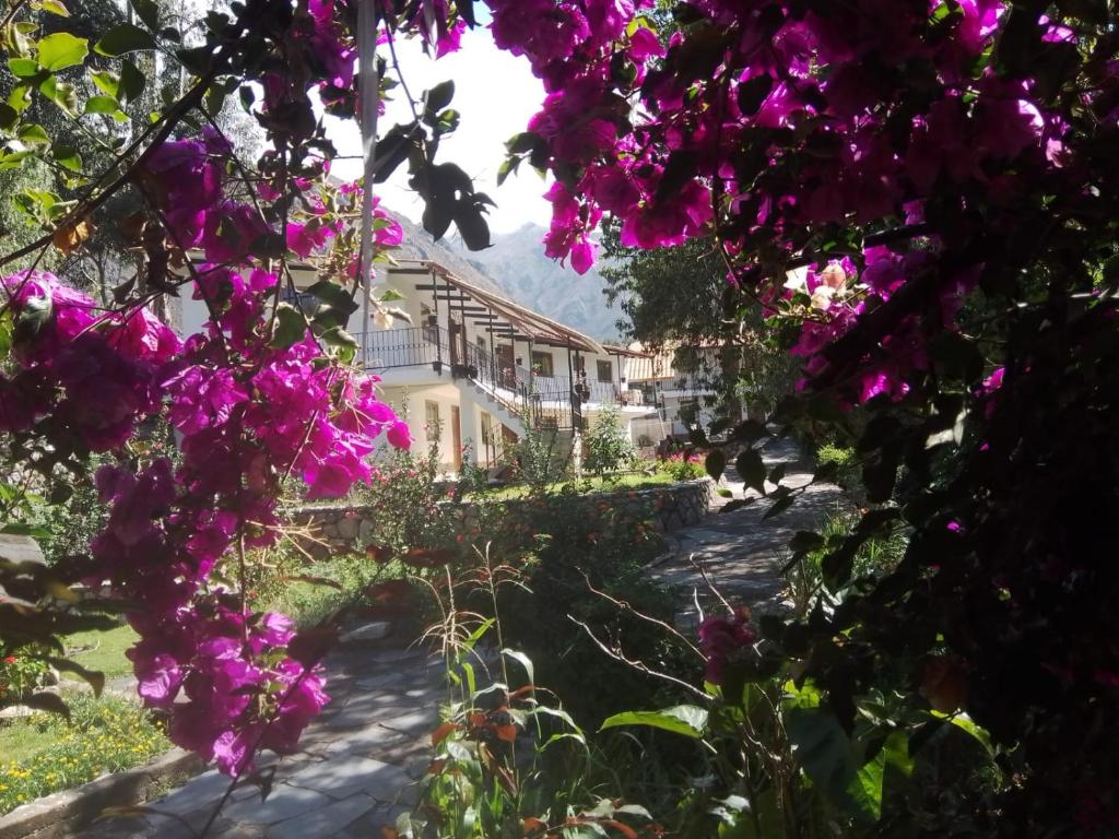 Um jardim em Casa de Mama Valle - Urubamba