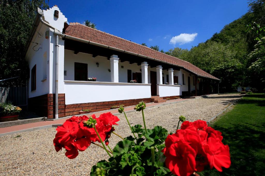 un edificio con fiori rossi di fronte di Bodza Vendégház - Apartmanház a Demjén