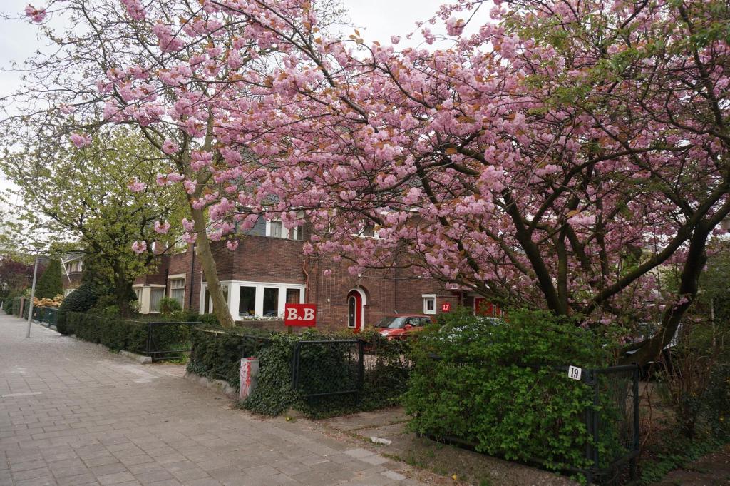 un árbol con flores rosas delante de una casa en Xaviera's Bed and Breakfast, en Ámsterdam