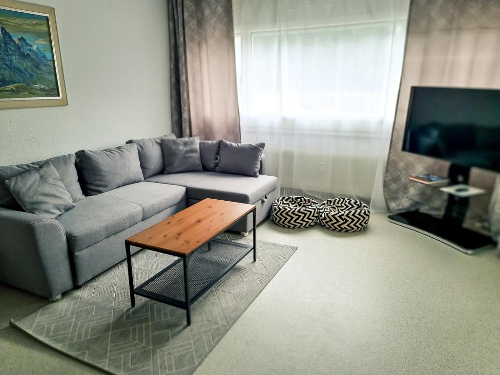 Χώρος καθιστικού στο Nika Apartment - Aare Jungfrau AG