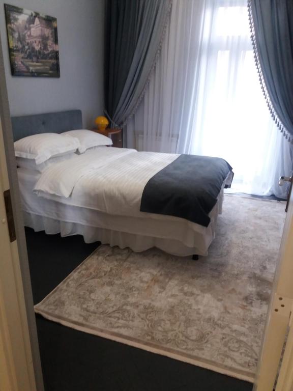 1 dormitorio con cama y ventana en Apartment u Lidii in center of Kiev near railways station, en Kiev