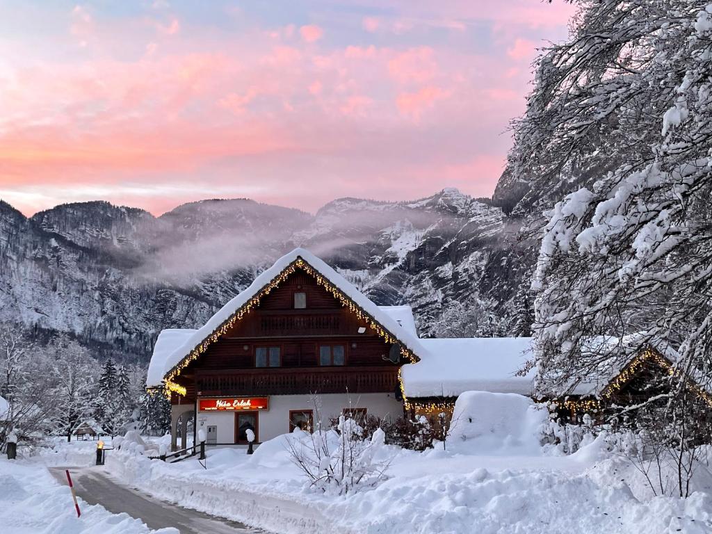 Un paisaje natural cerca de la casa de huéspedes