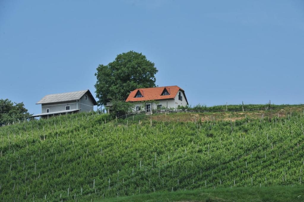 Landskap nær ferieboligen