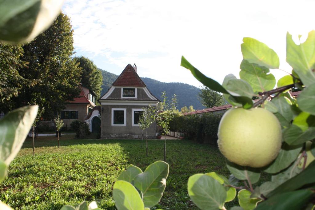 O grădină în afara Bioweingut Schmidl Rosenstöckel