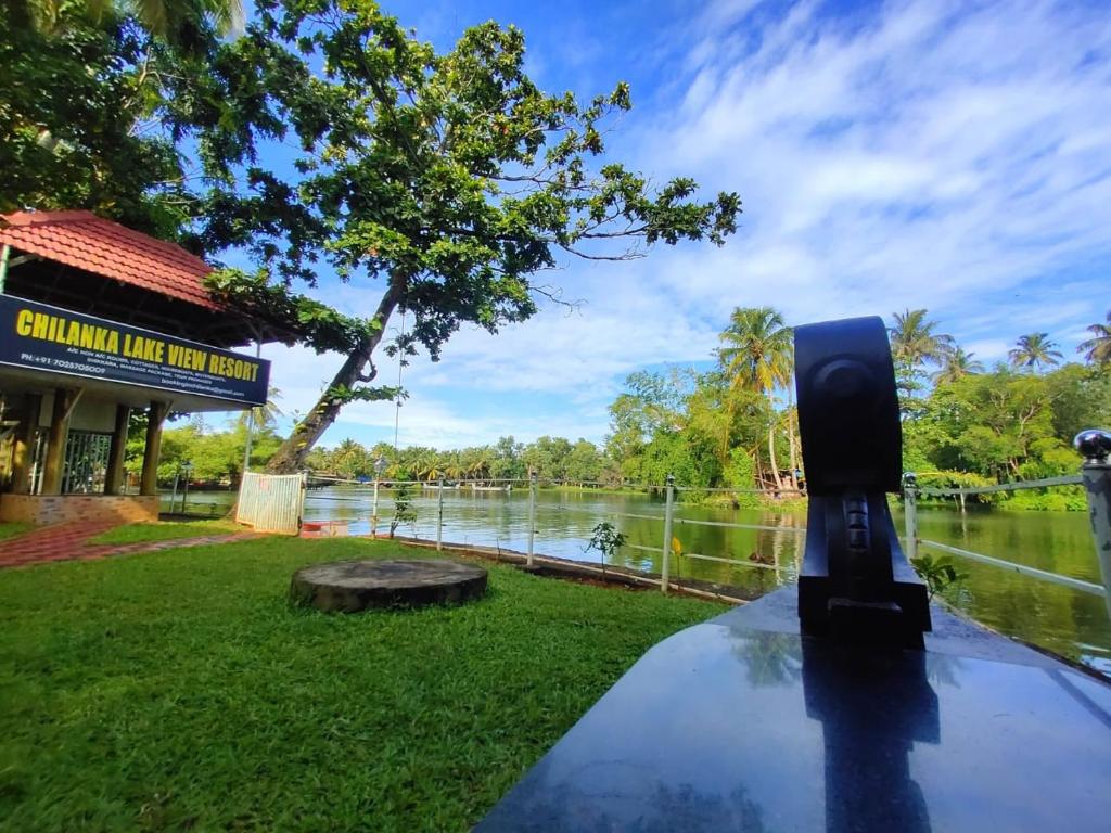 Vista de un río que corre cerca de la habitación en casa particular