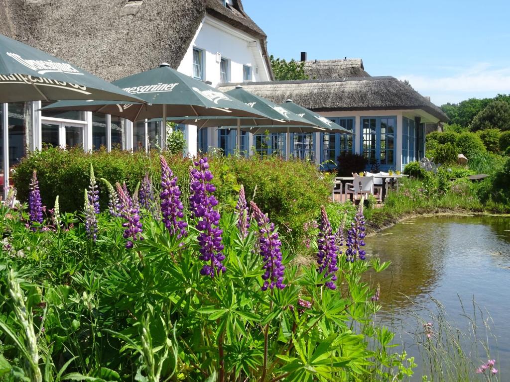 una casa con flores púrpuras junto a un río en Landhotel Kastanienallee Putbus, en Putbus