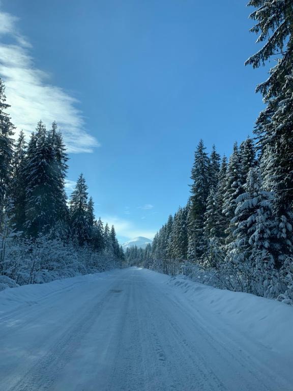 Під Явором kapag winter