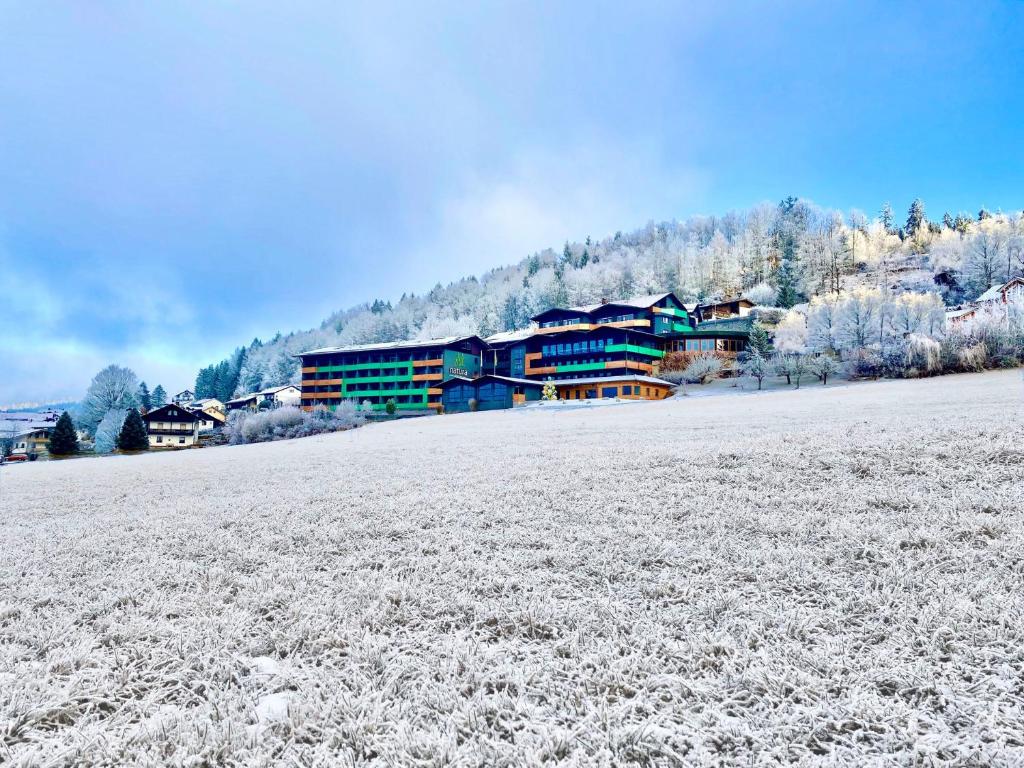 Natura Hotel Bodenmais - inkl Soft- und Heißgetränkeflat om vinteren