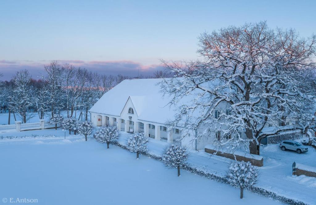 Sagadi Manor Hotel during the winter