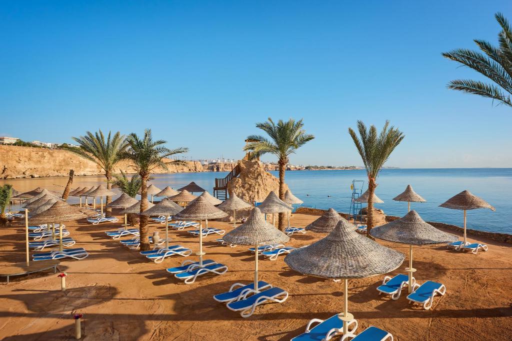 un montón de sillas y sombrillas en una playa en Dreams Beach Resort - Sharm El Sheikh, en Sharm El Sheikh