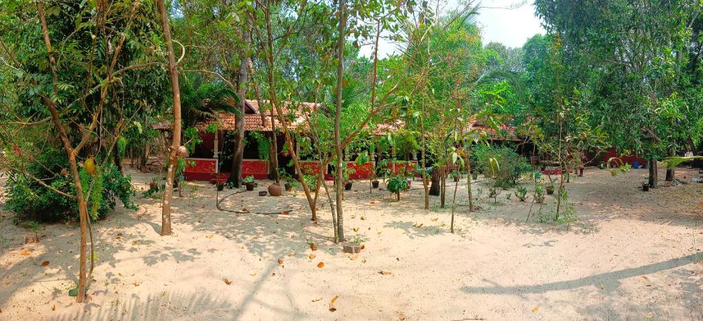 Un jardín fuera de AbbA Marari Beach Villas & Homestay Mararikulam