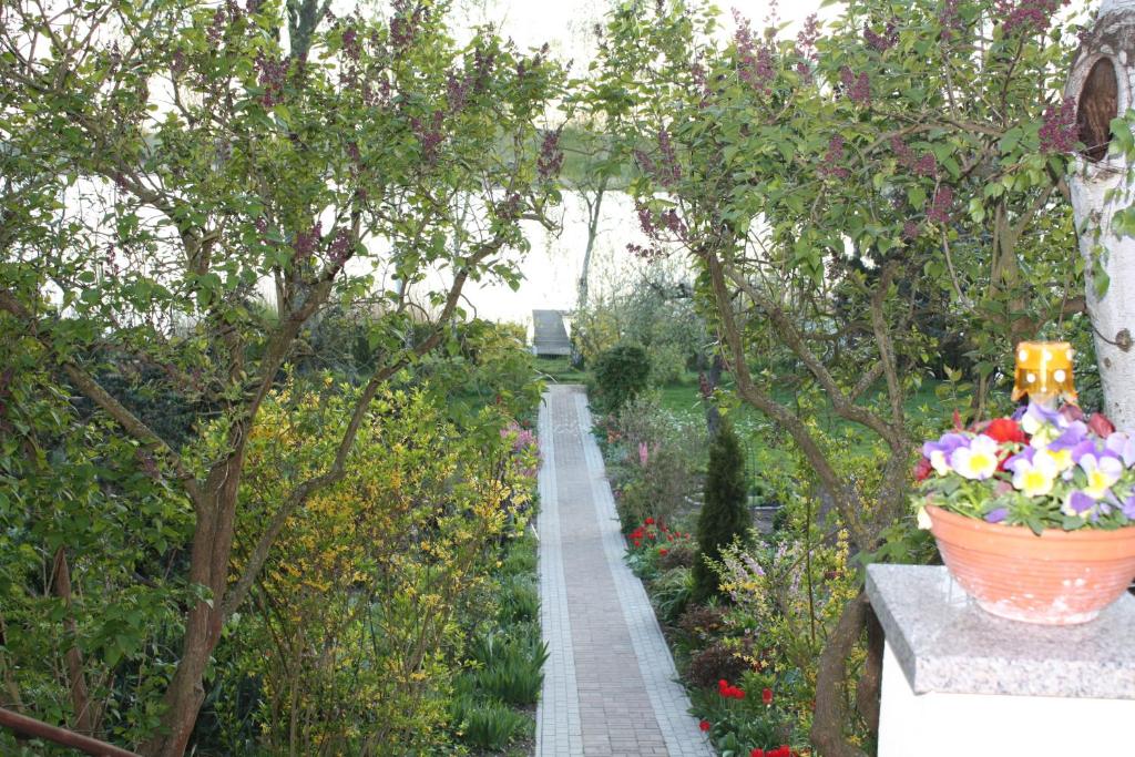 a garden with a pathway and a pot of flowers at Ferienwohnung am Schlosssee. in Penkun