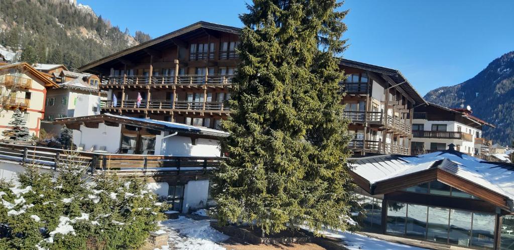 een grote kerstboom voor een gebouw bij Hotel Trento in Pozza di Fassa