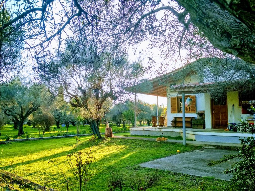 Nafpaktos cottage by the sea for travelers and dreamers! tesisinin dışında bir bahçe