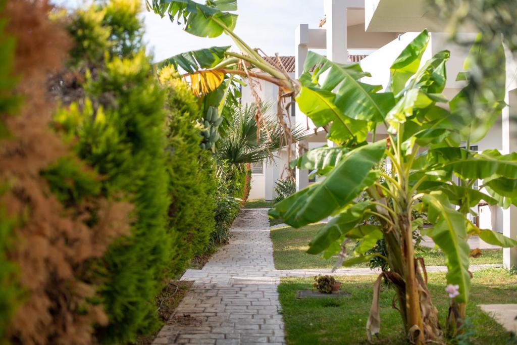 A garden outside Alkistis Hotel