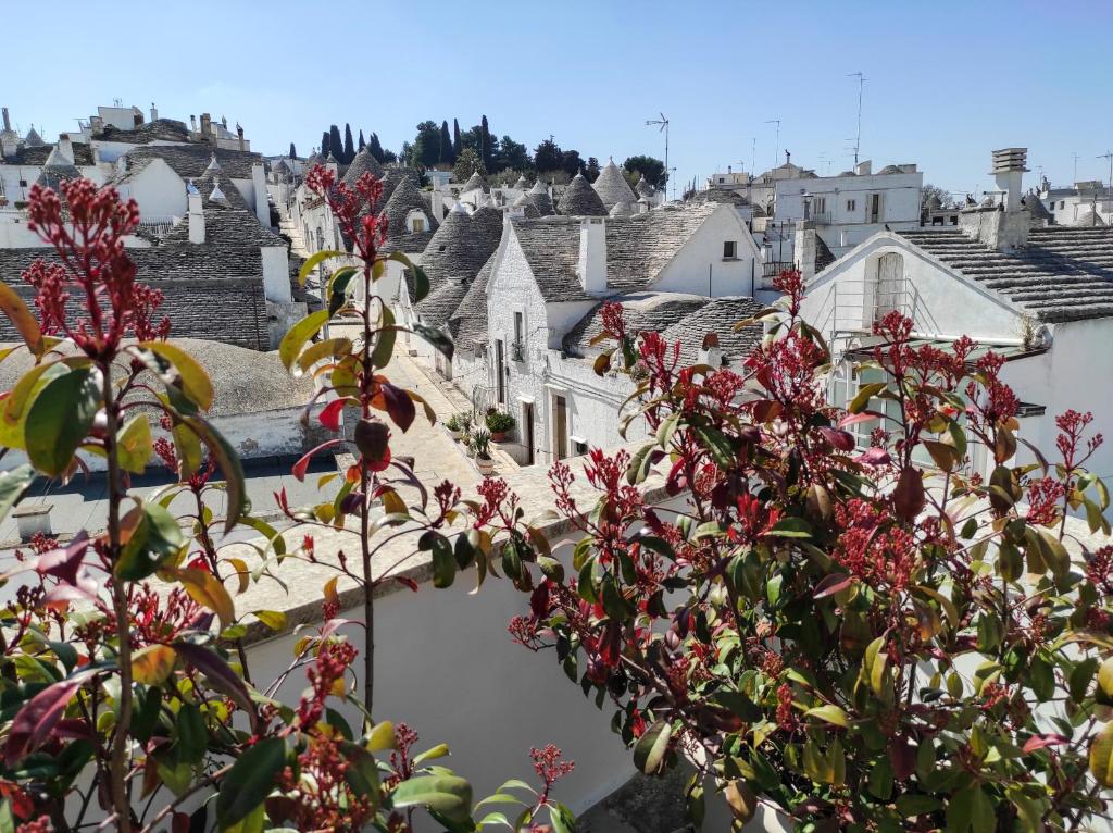 widok na miasto z dachu budynku w obiekcie Noù la tua casa in Puglia w Alberobello