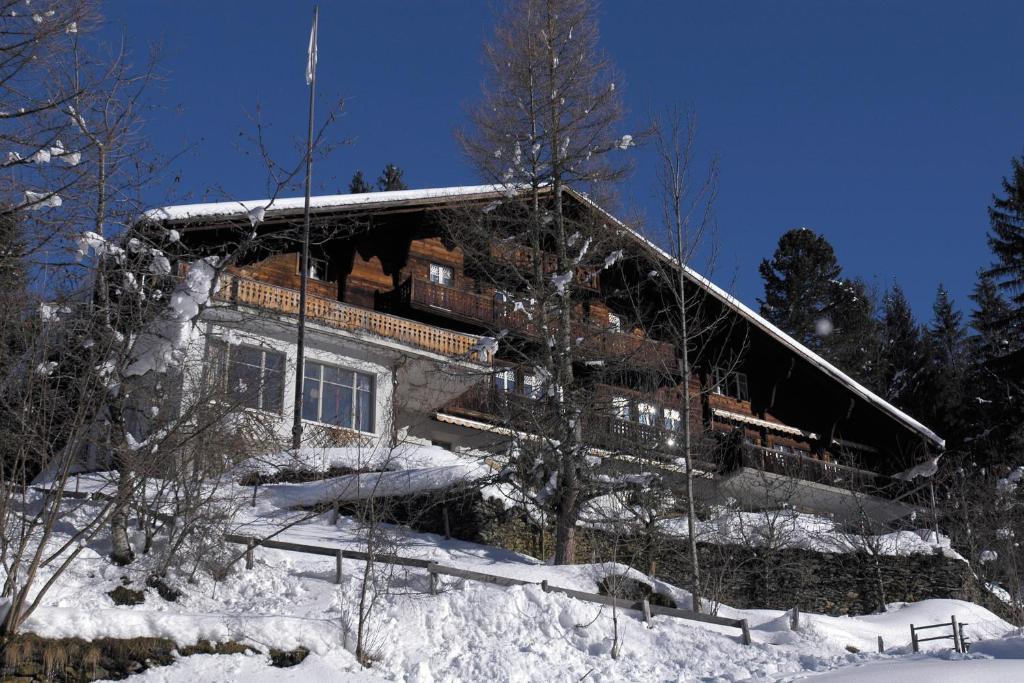 Grindelwald Youth Hostel ziemā