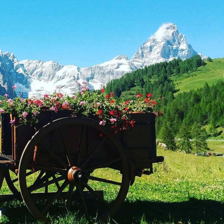 ヴァルトゥルナンシュにあるLa Lugeの山を背景に花びらた車