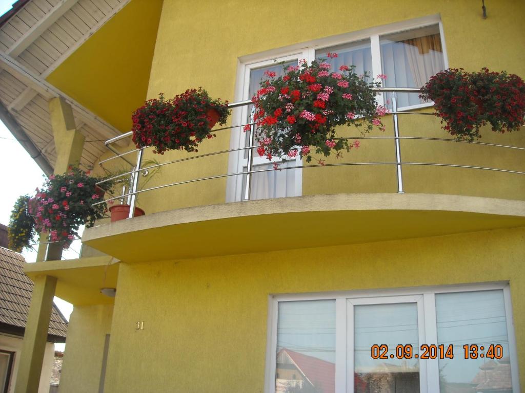 un bâtiment jaune avec deux boîtes de fleurs sur un balcon dans l'établissement Casa Judith, à Turda