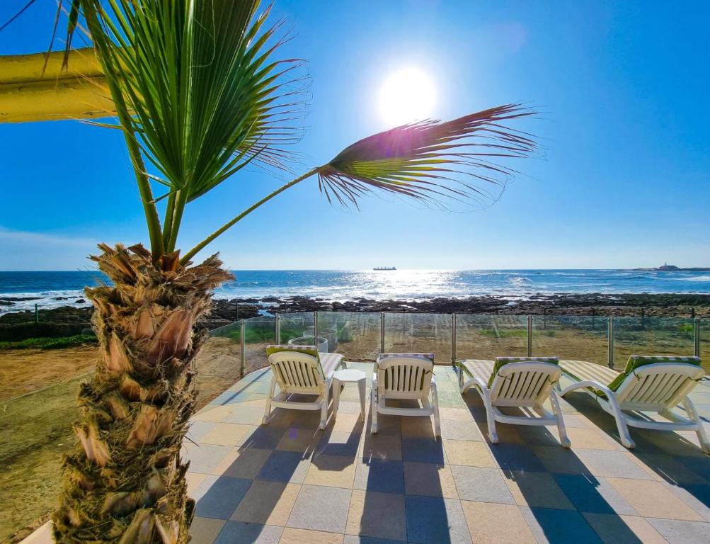 une terrasse avec des chaises, un palmier et l'océan dans l'établissement Panamericana Hotel Arica, à Arica