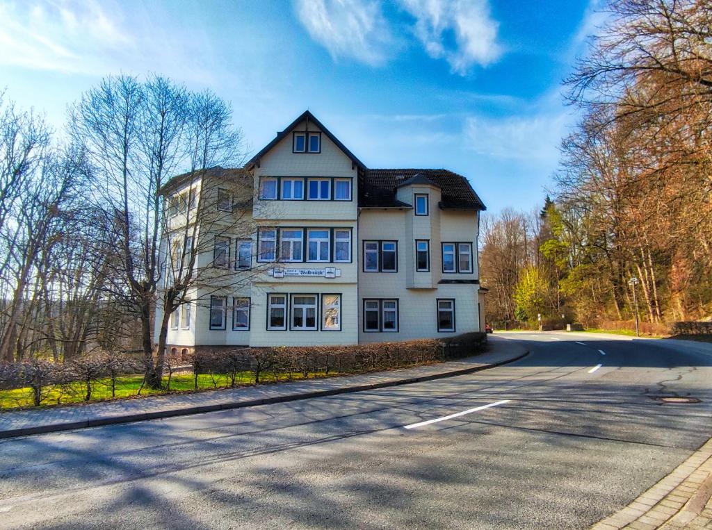 a large white building on the side of a road at Hotel Waldmühle in Elend