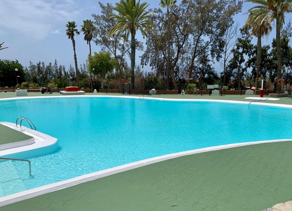 ein großer blauer Pool mit Palmen im Hintergrund in der Unterkunft Relax in pasito blanco camping house in Maspalomas