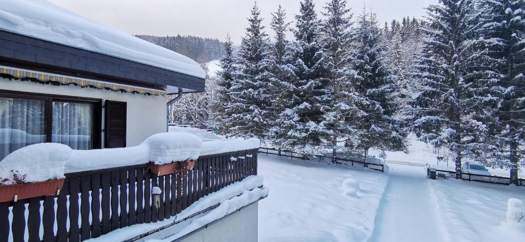 Am Kaltenbach - Spital am Semmering, Stuhleck during the winter