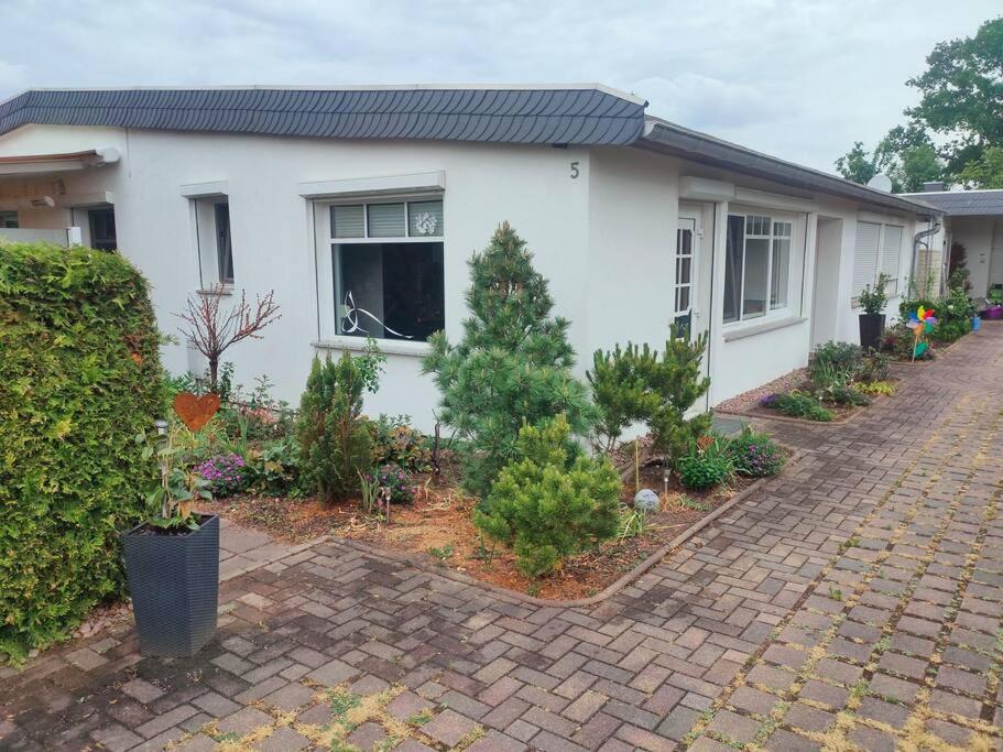 a white house with plants in front of it at Ferienwohnung in Leckwitz bei Nünchritz Wacker, Elbradweg in Nünchritz