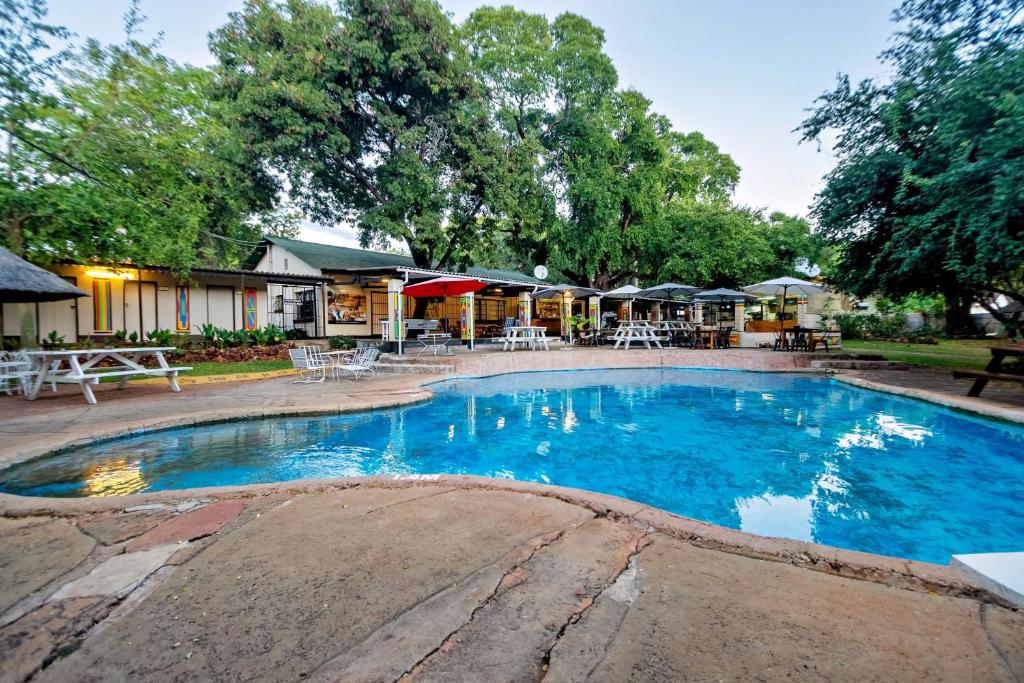 een groot zwembad met blauw water in een tuin bij Shoestrings Backpackers Lodge Vic Falls in Victoria Falls