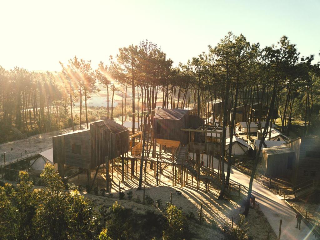 a group of trees and houses in a park at Bukubaki Eco Surf in Ferrel