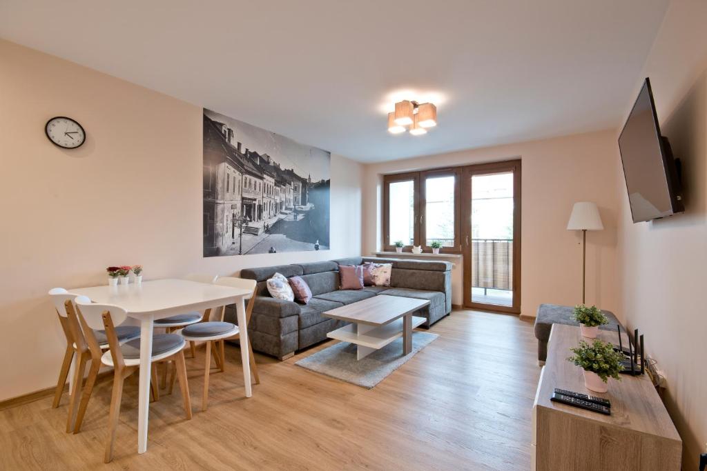 טלויזיה ו/או מרכז בידור ב-Academy Apartment Cieszyn