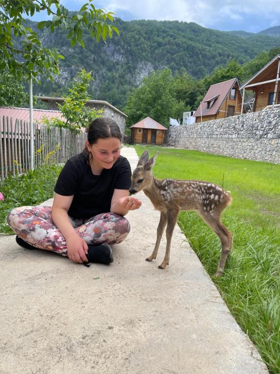 Životinje u smještaju na farmi ili u blizini