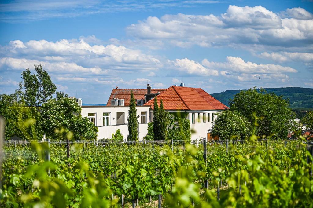 Billede fra billedgalleriet på Wirtshaus Leindl i Krems an der Donau