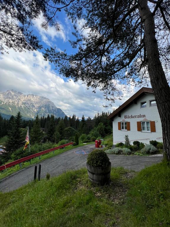 un bâtiment sur le côté d'une route avec un arbre dans l'établissement Bäckeralm© - B&B 16 +, à Mittenwald