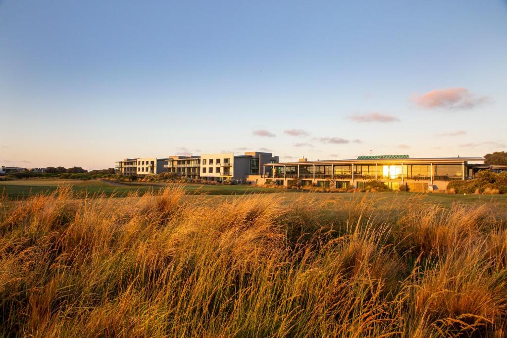 a field of tall grass in front of a building at The Sands Torquay in Torquay