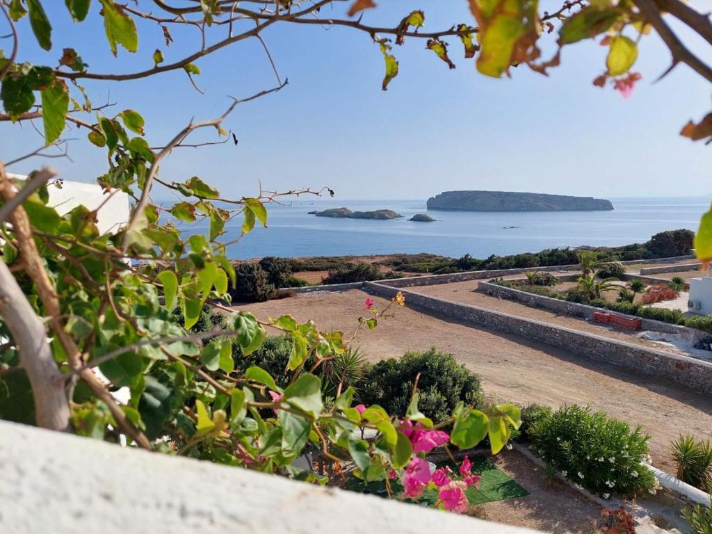 - un jardin avec vue sur l'océan dans l'établissement Sophia & Chris Studios, à Santa Maria