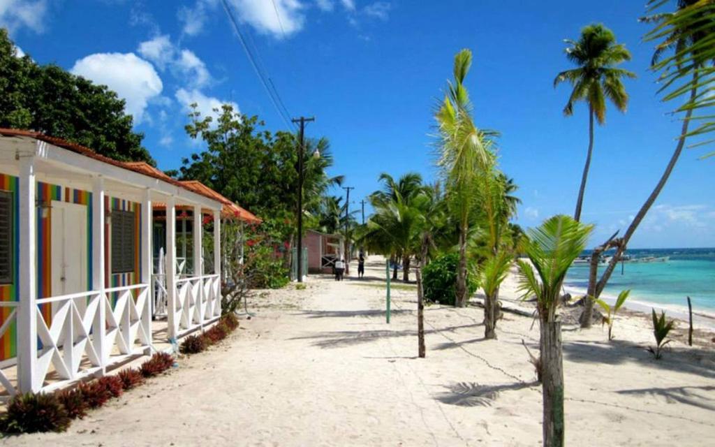 una strada di fronte a una spiaggia con palme di Casa Rural El Paraíso de Saona a Mano Juan