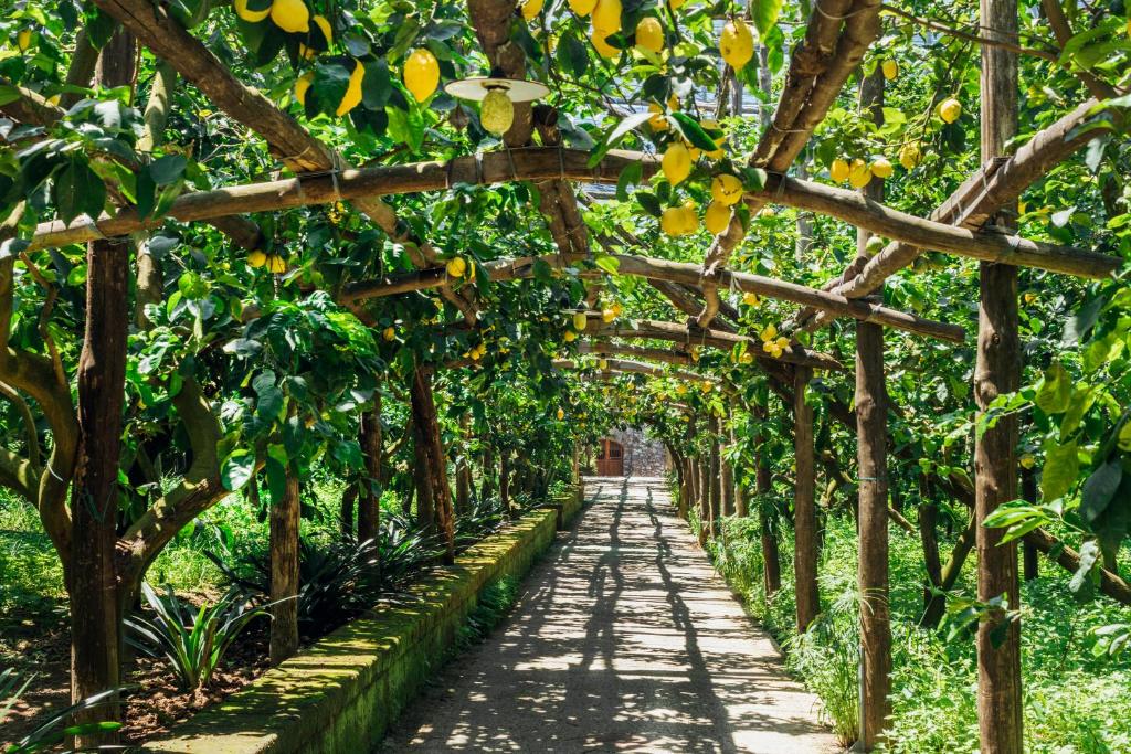 Sodas prie apgyvendinimo įstaigos Agriturismo Il Giardino di Vigliano