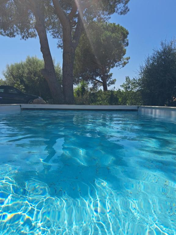 a pool of blue water with trees in the background at Edith et Jean-Paul in Porto-Vecchio