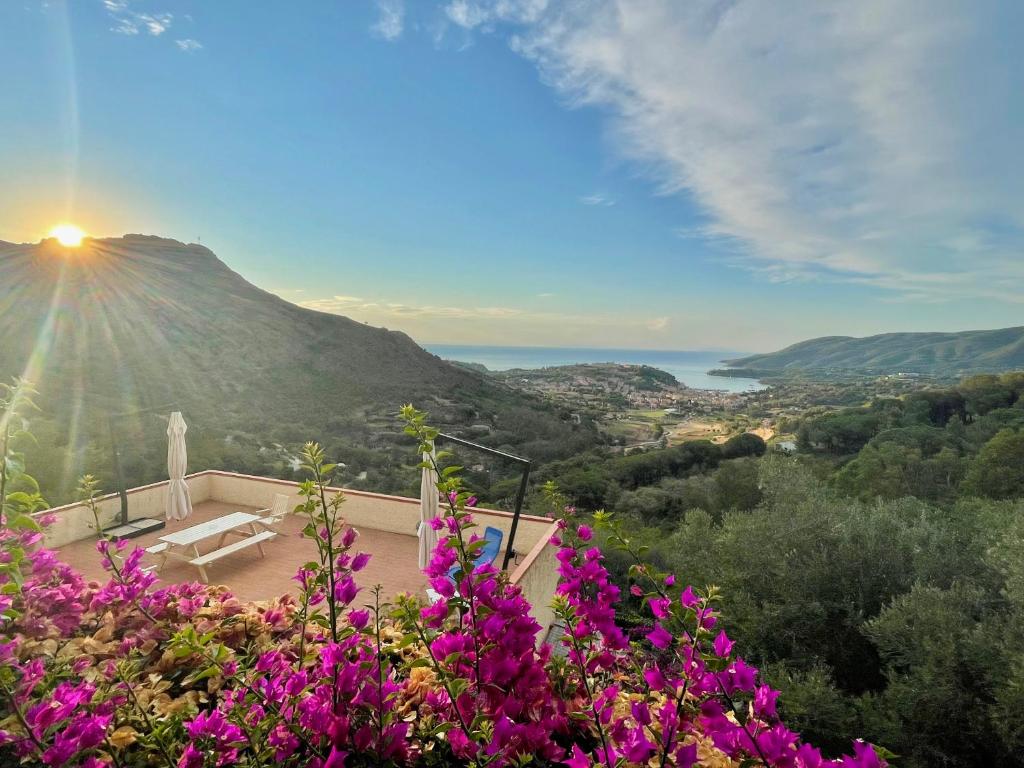 a view of a mountain with purple flowers at Aria di Collina - Isola d'Elba in Porto Azzurro