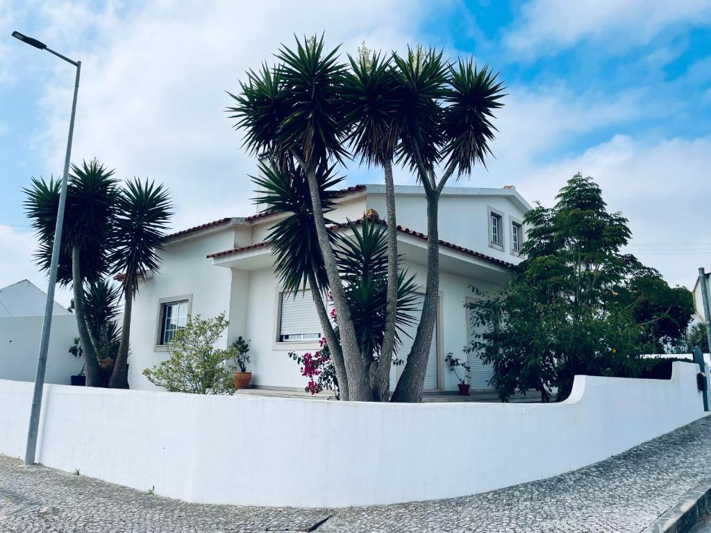 een wit huis met palmbomen ervoor bij Casa do Canto - Uma casa no campo, perto da praia. in Óbidos